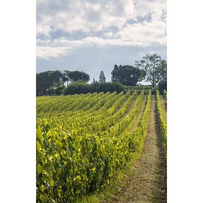 Geografico Contessa Toszkána